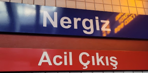 Durak Nergiz İzban